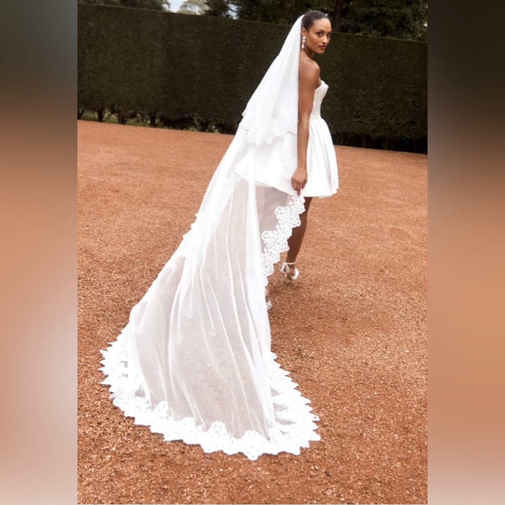 MESHKI Paulette Lace Trim Veil in White
